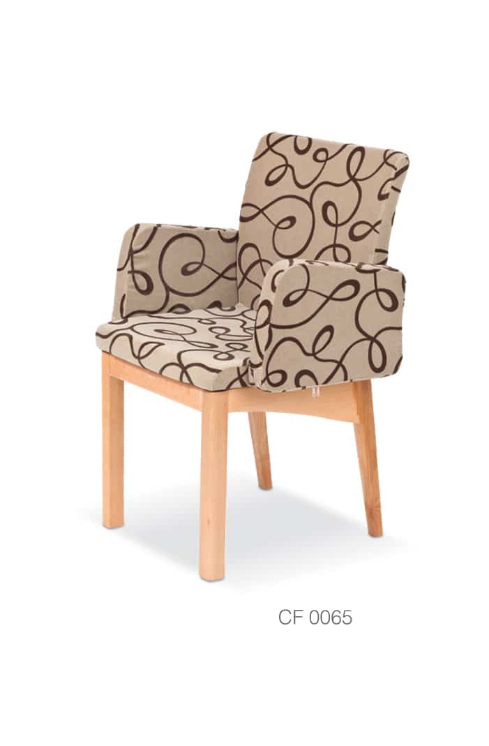 Wany Kafe Koltuğu Vizyon Sandalye