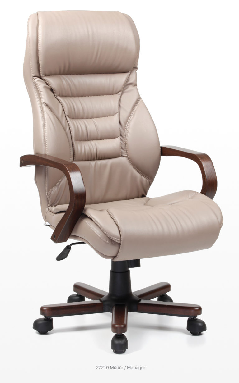 Halkyone Müdür Ofis Koltuğu Vizyon Sandalye